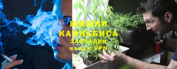 хмурый Касимов