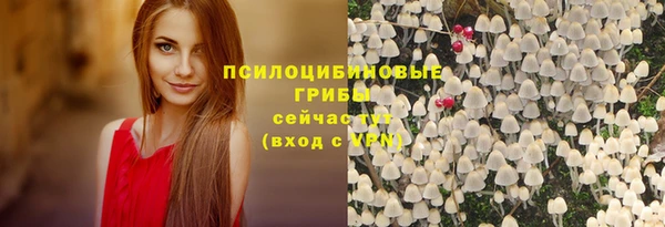 марки nbome Карпинск