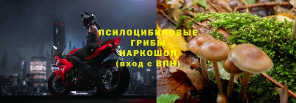 СК Зеленодольск