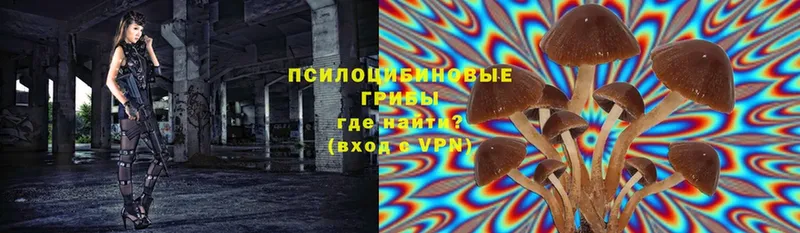 Псилоцибиновые грибы Magic Shrooms  Сасово 