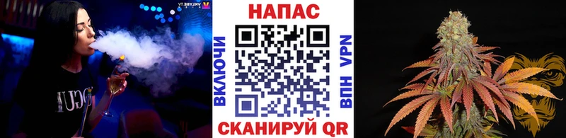 Бошки Шишки VHQ  дарк нет наркотические препараты  Сасово 